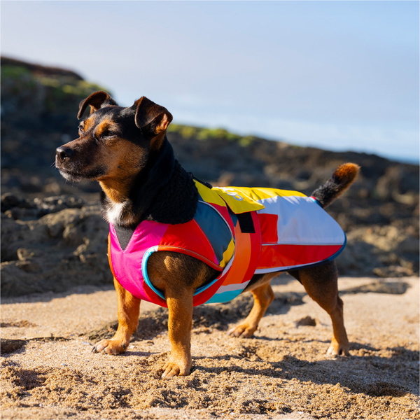 2026 Dryrobe Dog Coat V3DRDC - Abstract